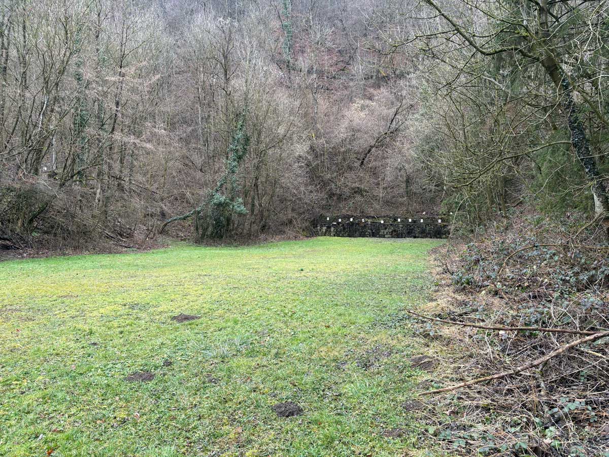 Wir haben wieder ein Zuhause!